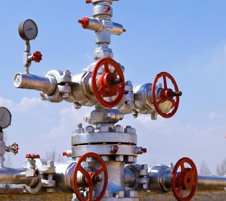 Wellhead maintenance Wellhead maintenance